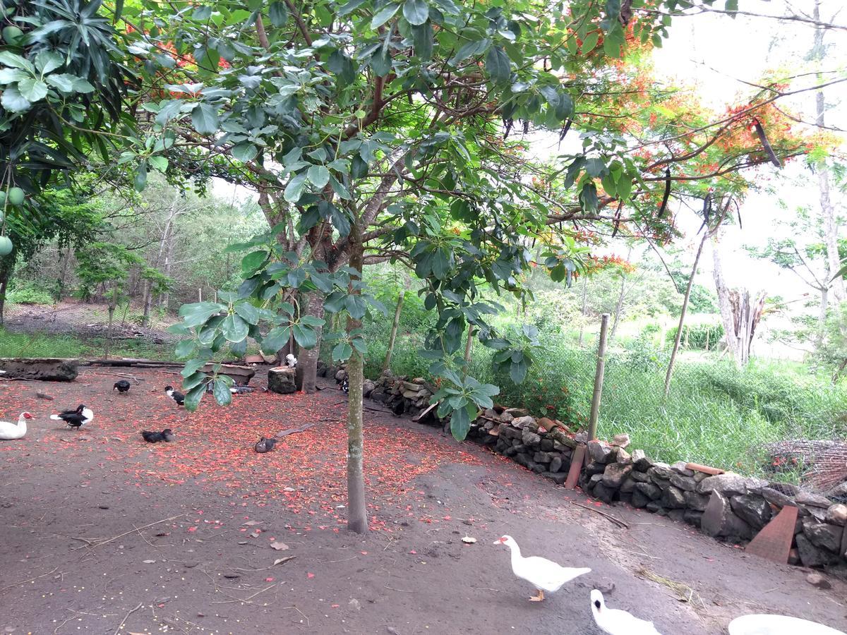 Casa Da Mamae Villa Barra de São João Dış mekan fotoğraf